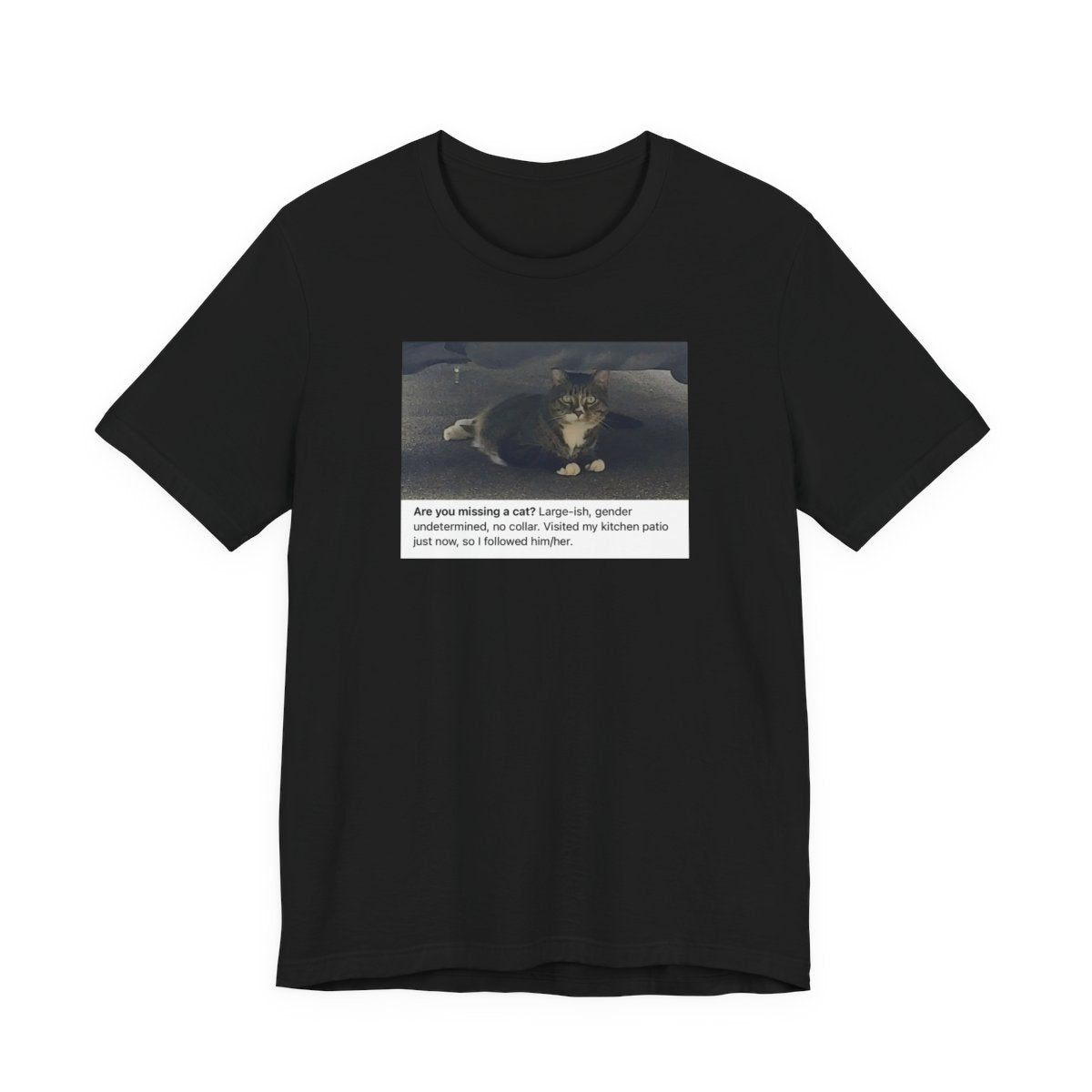 Lost Cat - Custom Design Request - Cady Creations