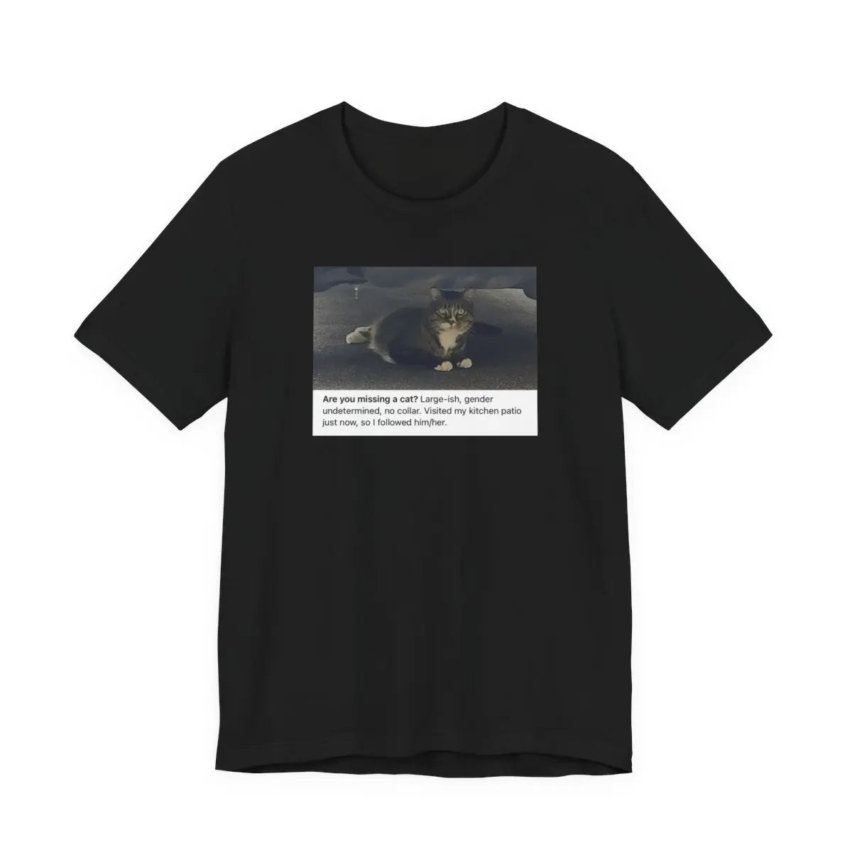 Lost Cat - Custom Design Request - Cady Creations