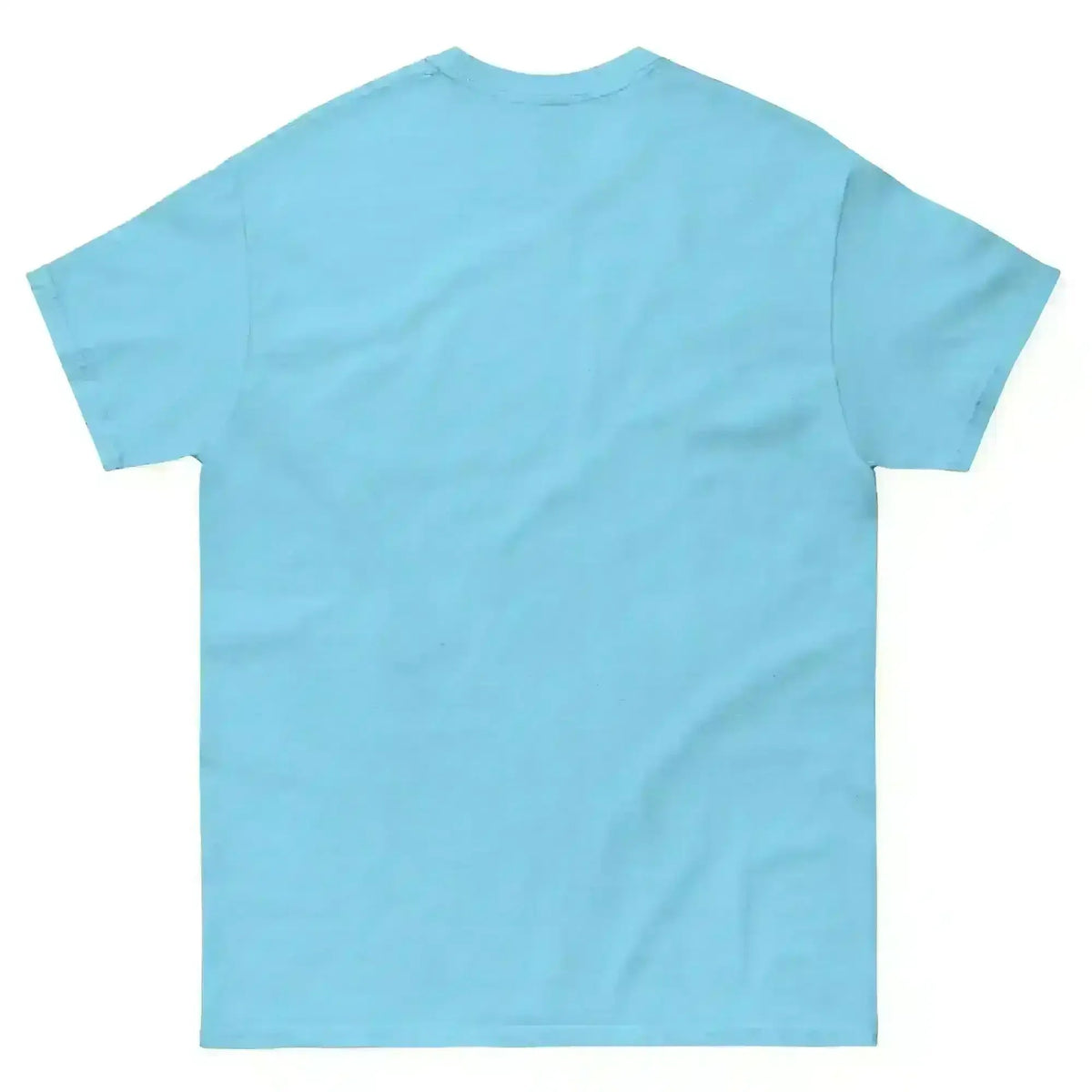 Bigfoot National Hide & Seek Champion - Unisex Tee - Cady Creations