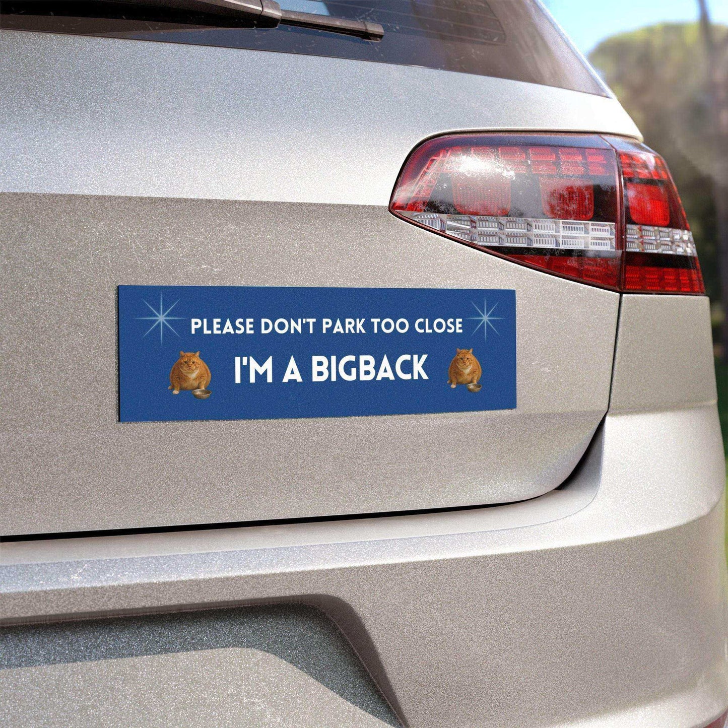 Please Don’t Park Too Close — I’m a Bigback | Funny 10x3 Car Magnet