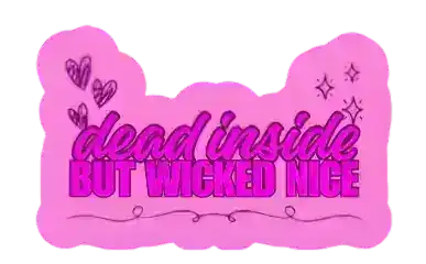 Pink decorative sign with text 'dead inside BUT WICKED NICE' on a white background