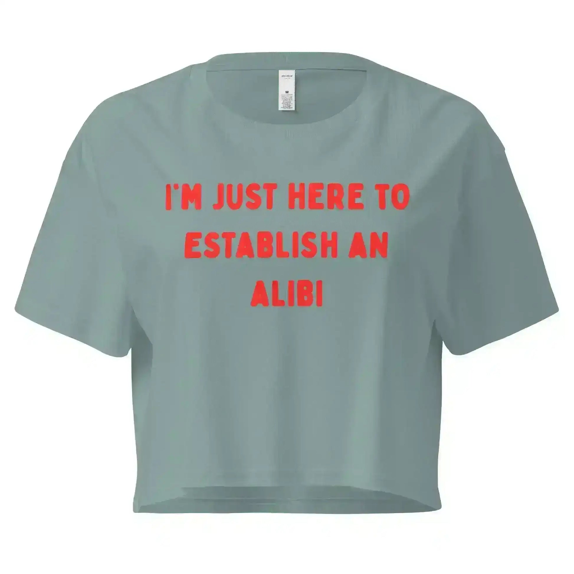 Establishing An Alibi True Crime Cropped Graphic Tee - Cady Creations