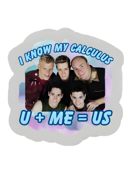  I Know My Calculus U + Me = Us - Premium Vinyl Sticker - Cady Creations