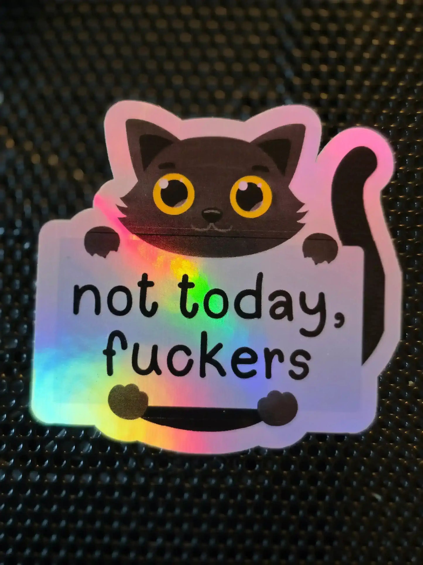  Not Today Cat - Premium Vinyl Sticker - Cady Creations