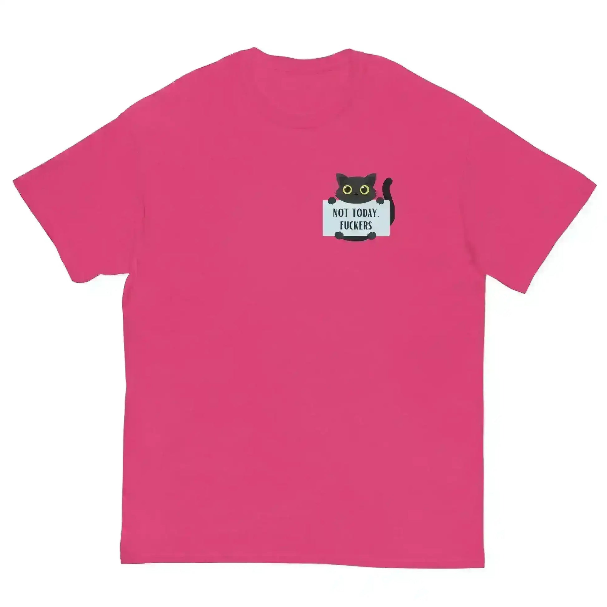 Not Today Cat - Unisex Tee - Cady Creations