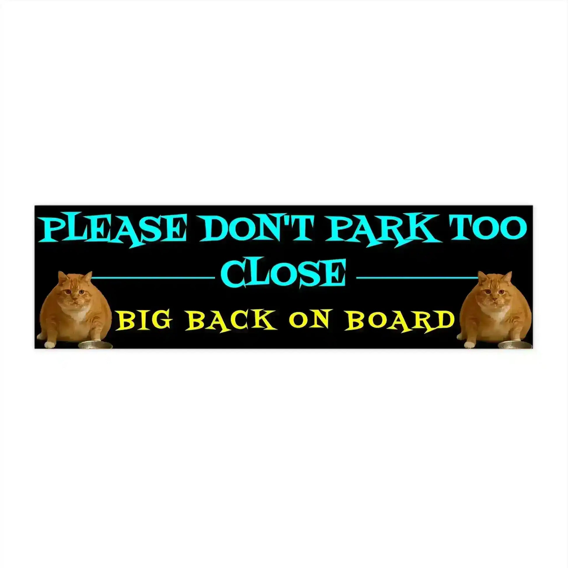 Please Don't Park Too Close - Big Back On Board 11x3" Bumper Sticker - Gen Z Chonky Cat Humor - Cady Creations